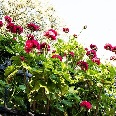 Otel Casa Di Pietra Fethiye