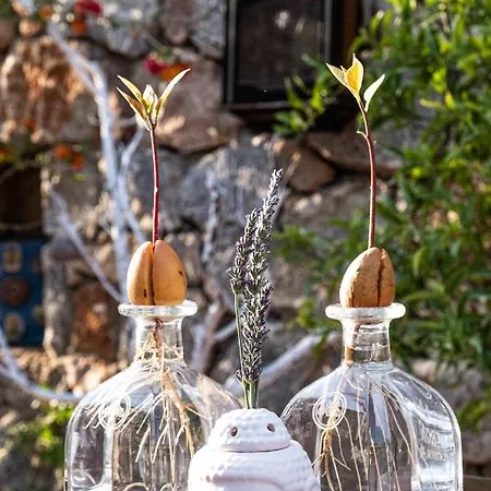 Casa Di Pietra Otel Fethiye